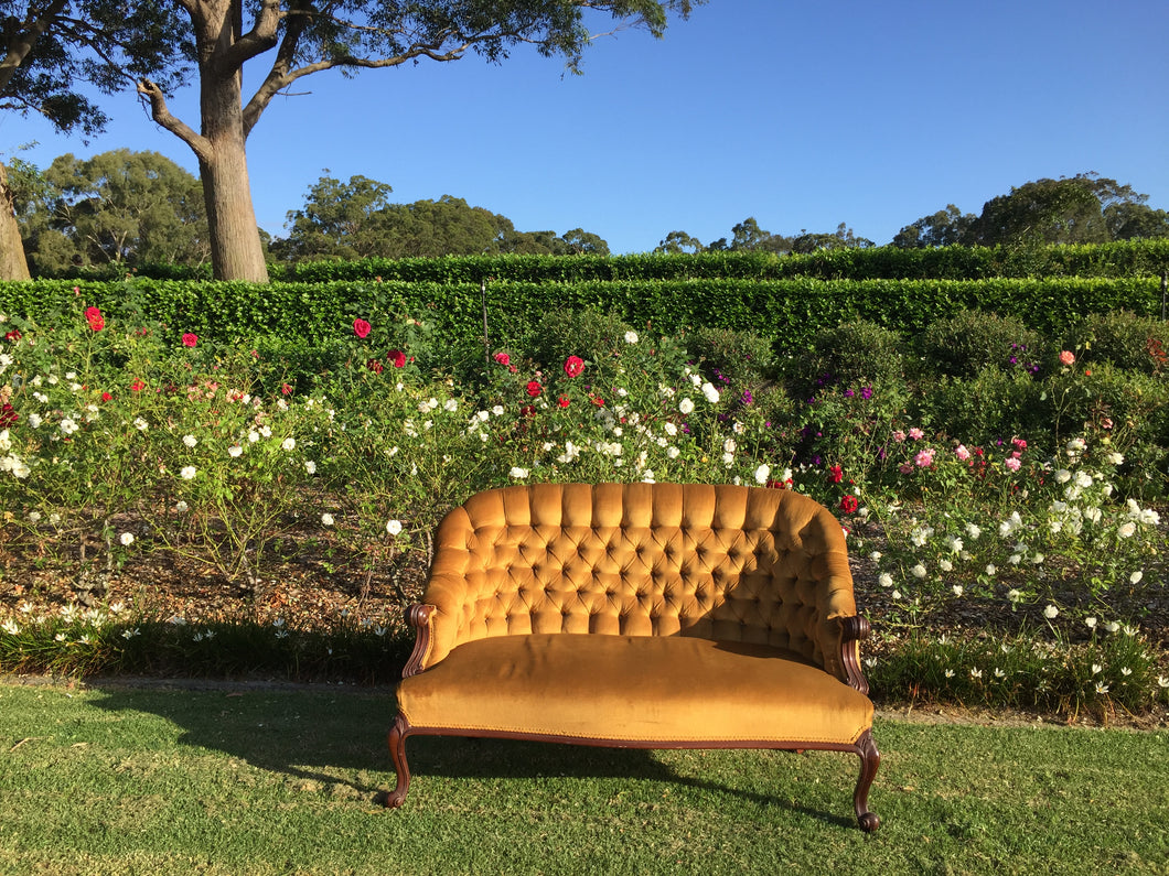 Gold 2 seater lounge
